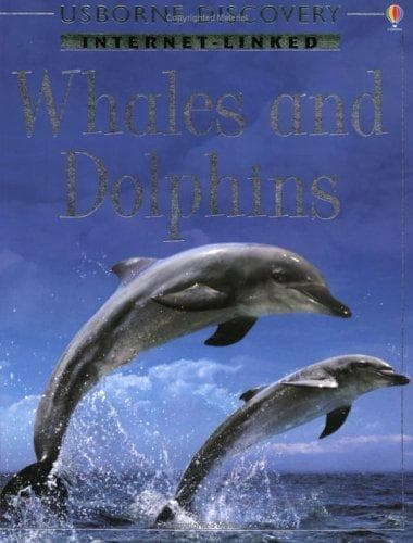 Tapa de Whales and Dolphins