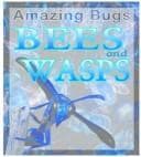Tapa de Bees & Wasps (Amazing Bugs)