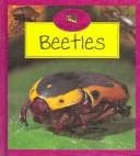 Tapa de Beetles (Keeping Minibeasts)