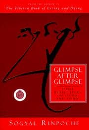 Tapa de Glimpse after glimpse