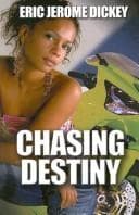 Tapa de Chasing Destiny (Large Print Press)