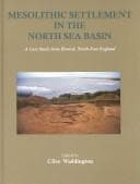 Tapa de Mesolithic Settlement in the North Sea Basin