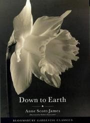 Tapa de Down to Earth (Bloomsbury Gardening Classics)