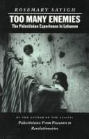 Tapa de Too Many Enemies