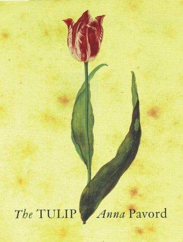 Tapa de The Tulip