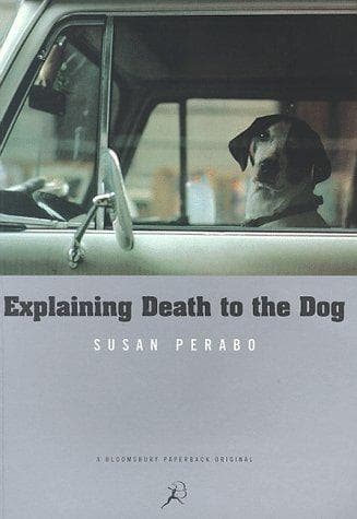 Tapa de Explaining Death to the Dog