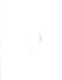 Tapa de Clement Greenberg