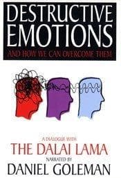 Tapa de Destructive Emotions