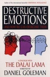 Tapa de Destructive Emotions