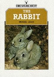 Tapa de The Rabbit