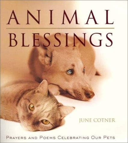 Tapa de Animal Blessings