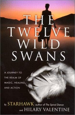 Tapa de The Twelve Wild Swans