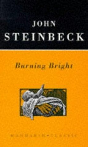Tapa de Burning Bright (Mandarin Classic)