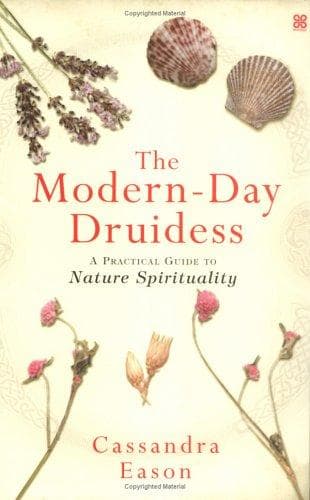 Tapa de The Modern-day Druidess