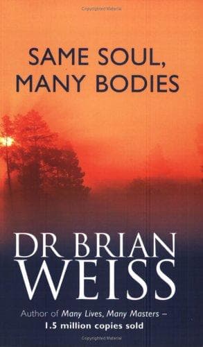 Tapa de Same Soul, Many Bodies