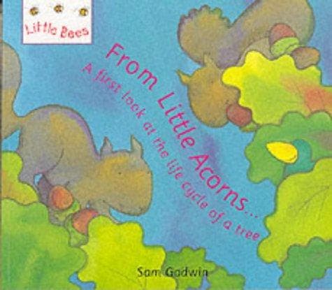 Tapa de From Little Acorns (Little Bees)