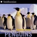 Tapa de Penguins