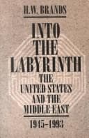 Tapa de Into the labyrinth