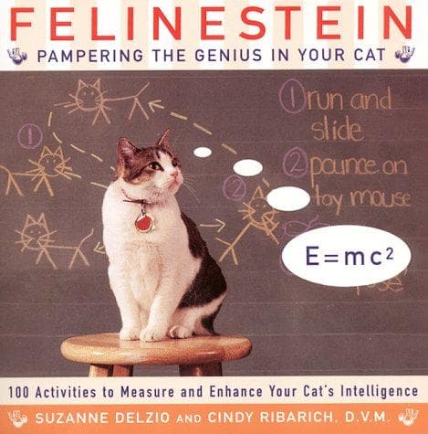 Tapa de Felinestein