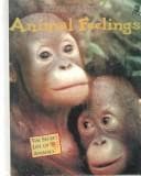 Tapa de Animal Feelings