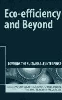 Tapa de Eco-efficiency and beyond