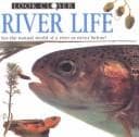 Tapa de River Life