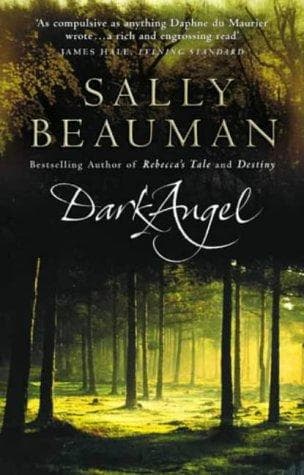 Tapa de Dark Angel