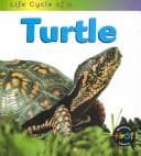Tapa de Life Cycle of a Turtle