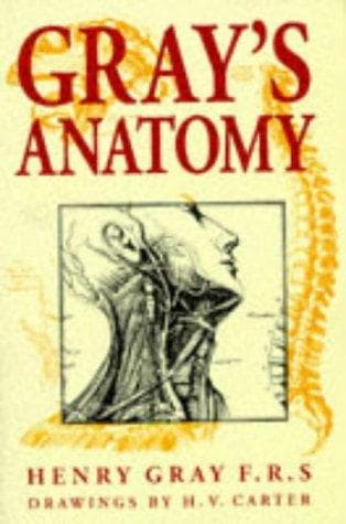 Tapa de Grays Anatomy