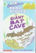 Tapa de The Berenstain Bear Scouts in giant bat cave