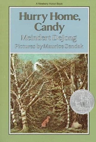 Tapa de Hurry Home, Candy (Harper Trophy Books)