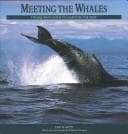 Tapa de Meeting the whales