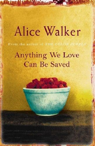 Tapa de Anything We Love Can Be Saved