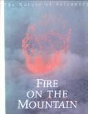 Tapa de Fire on the Mountain
