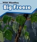 Tapa de Big Freeze