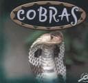Tapa de Cobras (Amazing Snakes Discovery Library)