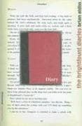 Tapa de The Brightfount diaries