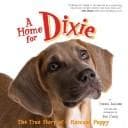 Tapa de A home for Dixie