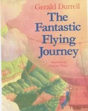 Tapa de The Fantastic Flying Journey