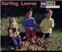Tapa de Sorting Leaves