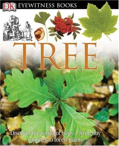 Tapa de Tree (DK Eyewitness Books)
