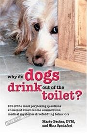Tapa de Why do dogs drink out of the toilet?