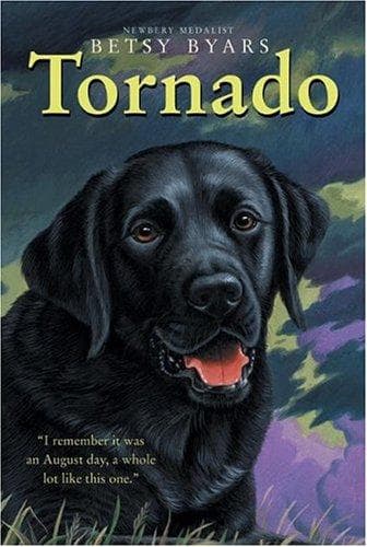 Tapa de Tornado (Trophy Chapter Book)