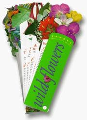 Tapa de Wildflowers
