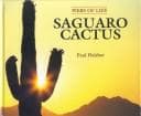 Tapa de Saguaro cactus