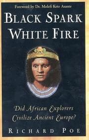 Tapa de Black spark, white fire