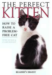 Tapa de The perfect kitten