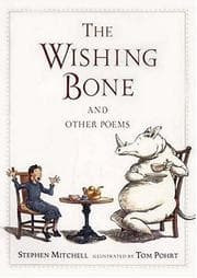 Tapa de The wishing bone and other poems
