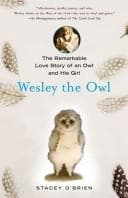 Tapa de Wesley the owl