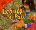 Tapa de Leaves in Fall